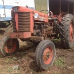 MasseyFerguson65(1)