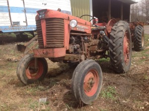 MasseyFerguson65(1)